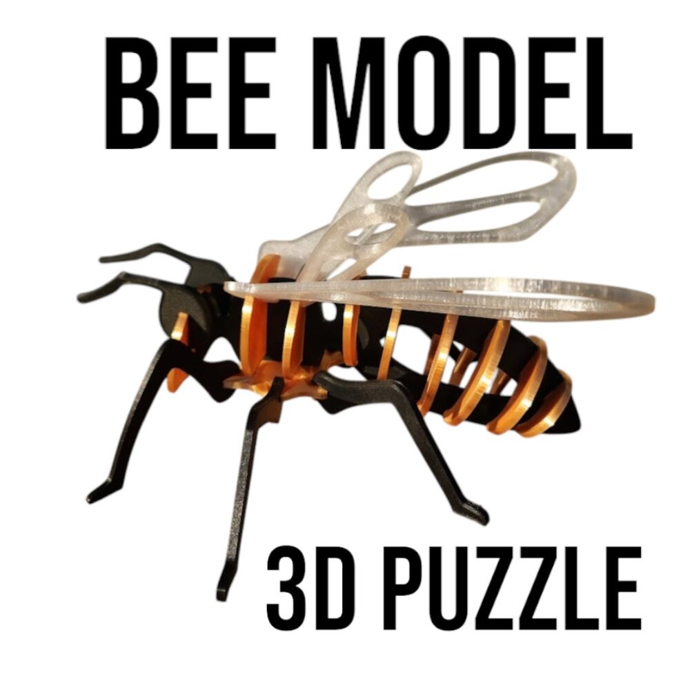 Bee Model Honeybee 3D Puzzle Honey Bees Classroom Science STEM Craft Insect Toy